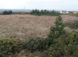 Site For Sale Ballyboes Falcarragh County Donegal